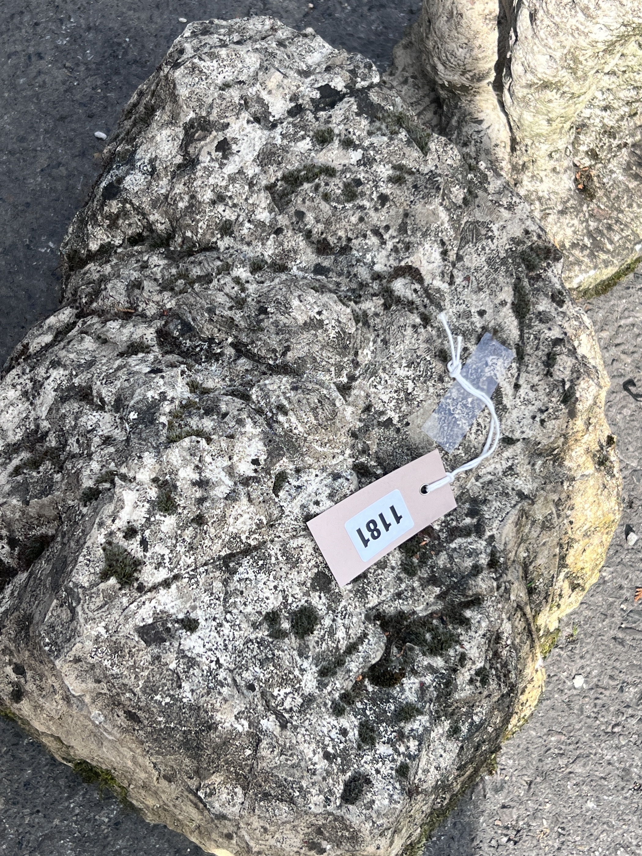 A stone fragment and a reconstituted stone figure of a dog, height 44cm